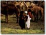 Photographs of Rabaris of Kutch